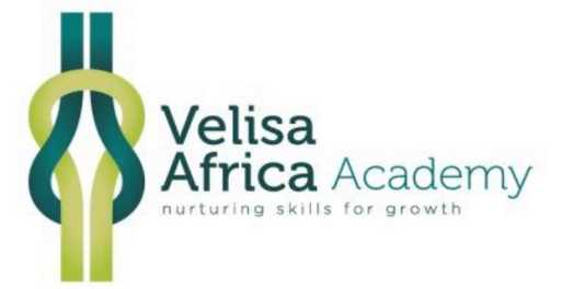 Velisa Africa Academy Logo